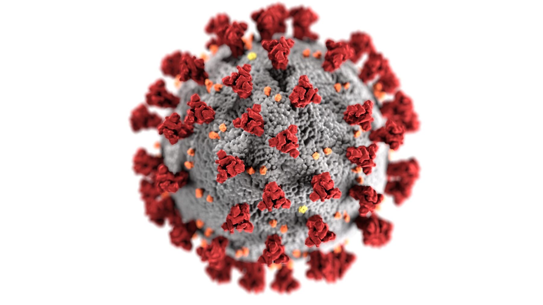 coronavirus 3992933 scaled e1612351234137 | Ip Service Trento